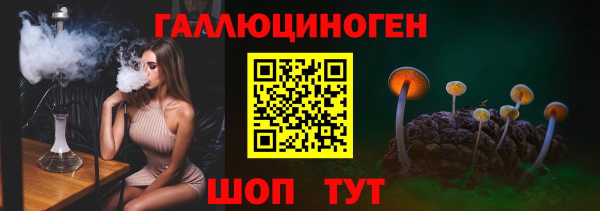 Галлюциногенные грибы Psilocybine cubensis  Вход с VPN  Галлюциногенные грибы Cubensis  Горно-Алтайск 